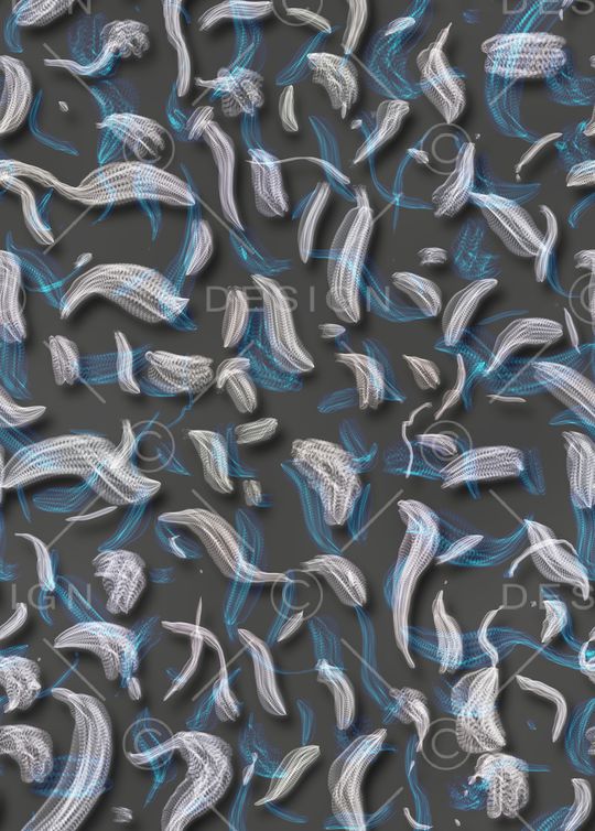 潮牌印花华亿平台图片