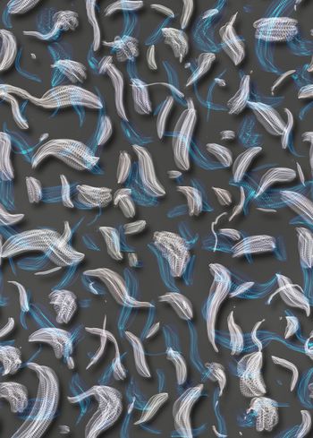 潮牌印花华亿平台图片