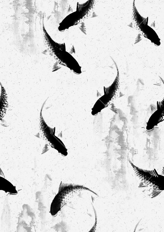 鱼印花华亿平台图片