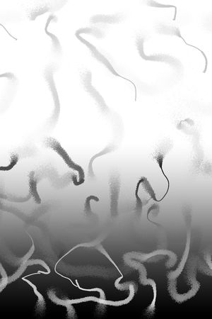 黑白华亿平台印花华亿平台图片