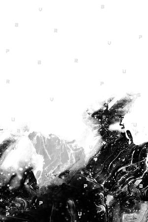 黑白华亿平台印花华亿平台图片