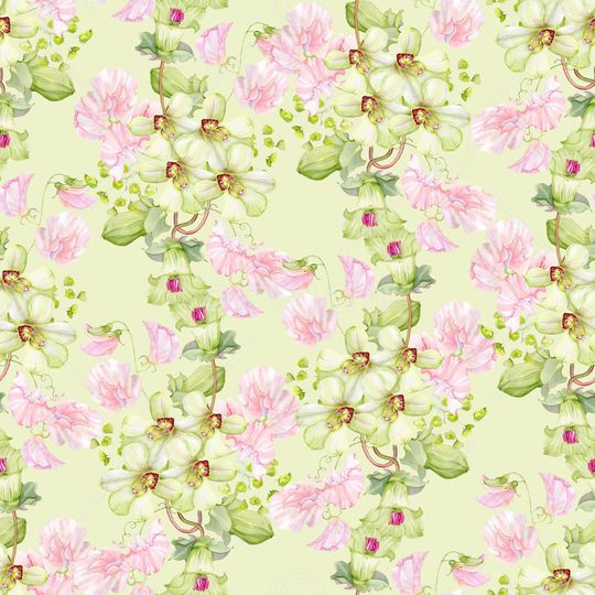 蝴蝶兰印花华亿平台图片