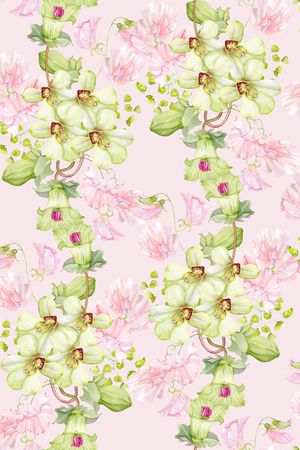 蝴蝶兰印花华亿平台图片