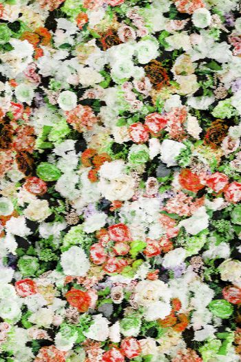 158360-波纹朦胧花卉