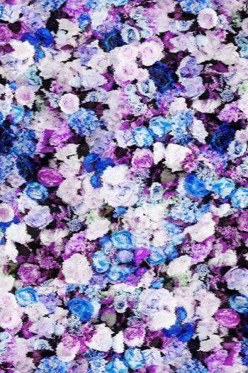 158361-波纹朦胧花卉