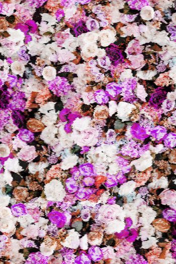 158362-波纹朦胧花卉