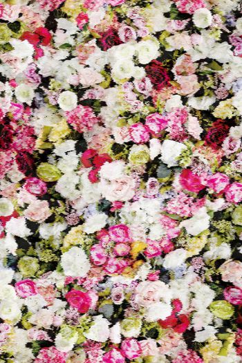 158363-波纹朦胧花卉