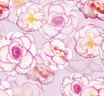 158475-花飞漫舞-粉