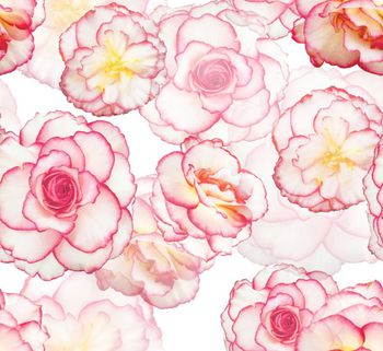 158476-花飞漫舞-红