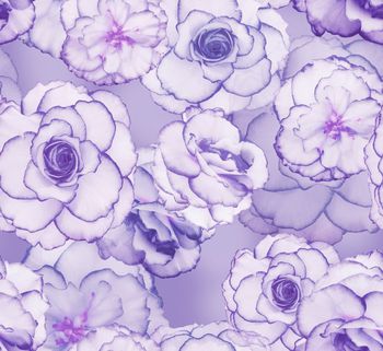 158479-花飞漫舞-紫