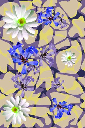 豹纹印花华亿平台图片