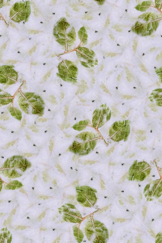 植物印花华亿平台图片