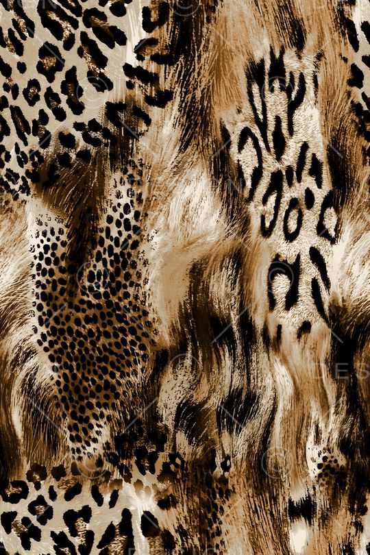 豹纹印花华亿平台图片