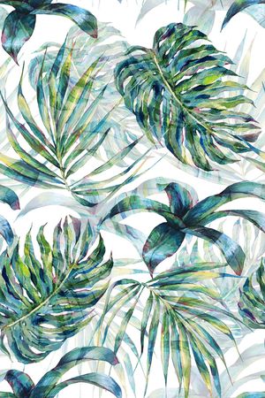 热带印花华亿平台图片