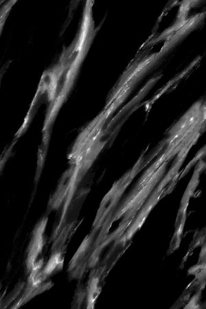 大理石印花华亿平台图片