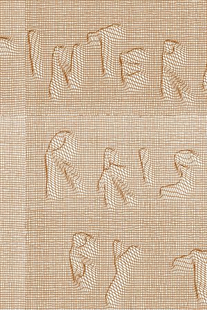 3D立体印花华亿平台图片