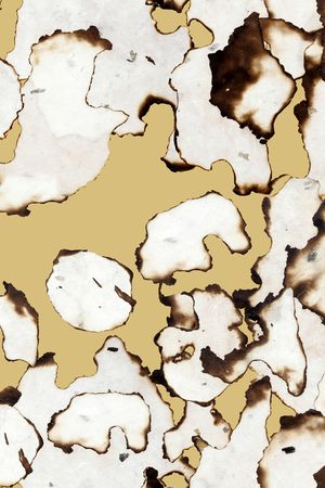 渐变印花华亿平台图片