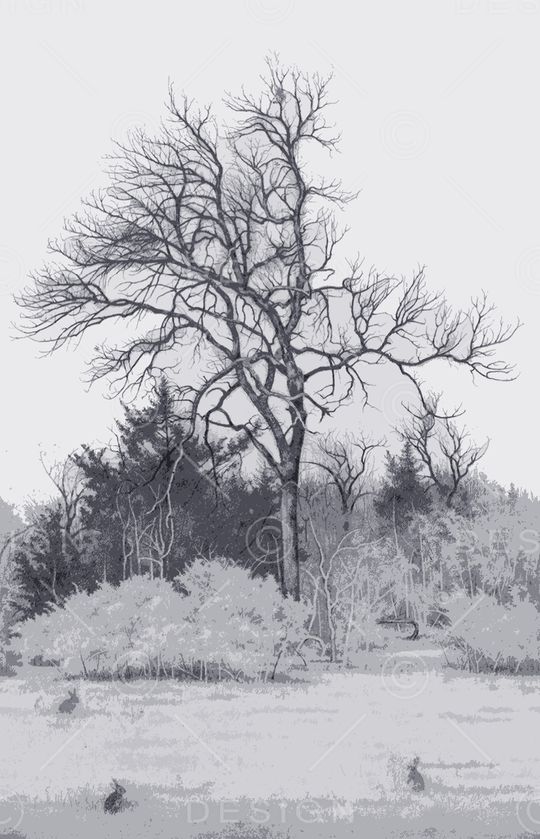 树林印花华亿平台图片