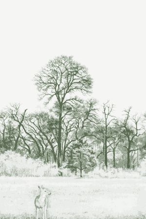 树林印花华亿平台图片