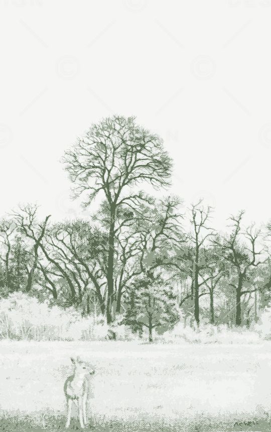 树林印花华亿平台图片