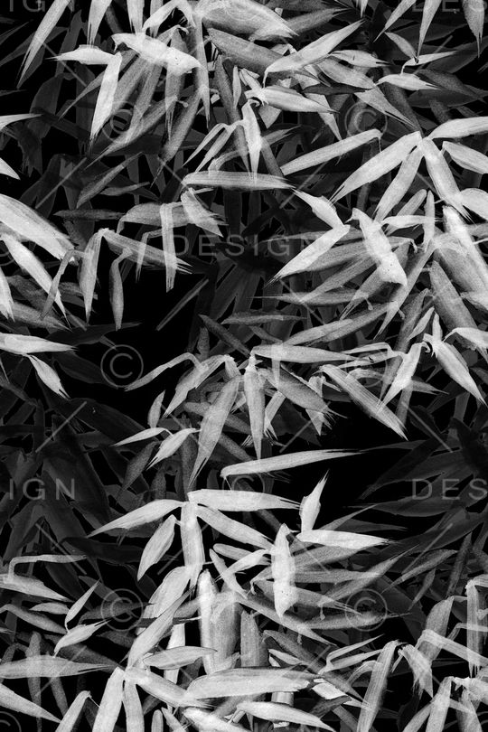 真丝印花华亿平台图片