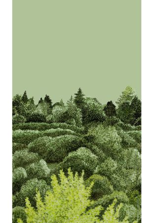 定位花印花华亿平台图片