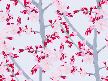 梅花印花华亿平台图片