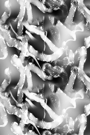 黑白华亿平台印花华亿平台图片