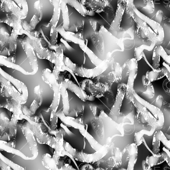 黑白华亿平台印花华亿平台图片