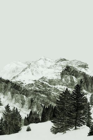 雪山印花华亿平台图片