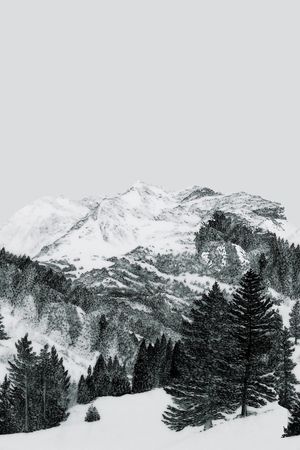 雪山印花华亿平台图片