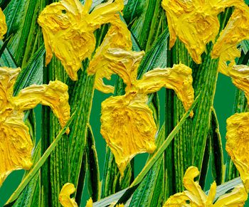 鸢尾花印花华亿平台图片