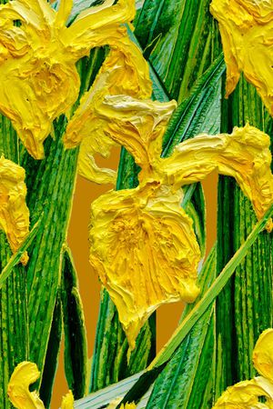 鸢尾花印花华亿平台图片