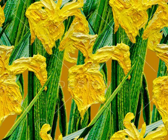 鸢尾花印花华亿平台图片