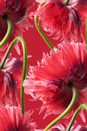 撞色印花华亿平台图片