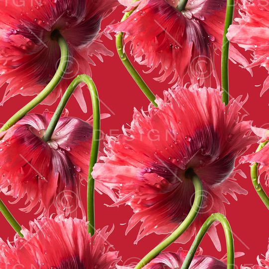 撞色印花华亿平台图片