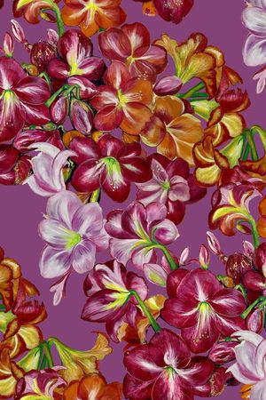 中老年印花华亿平台图片