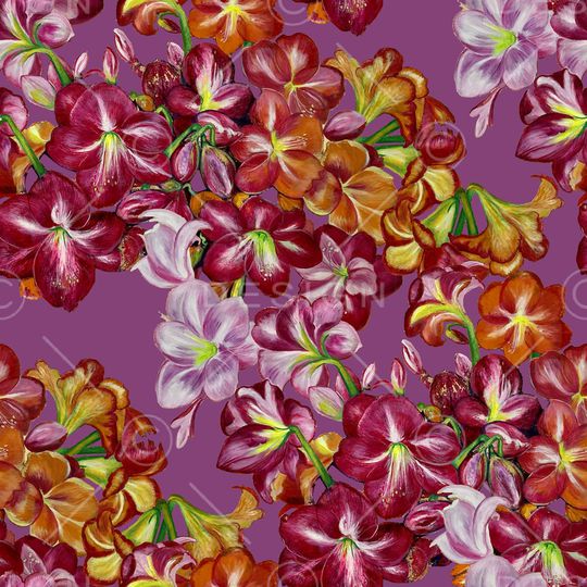 中老年印花华亿平台图片