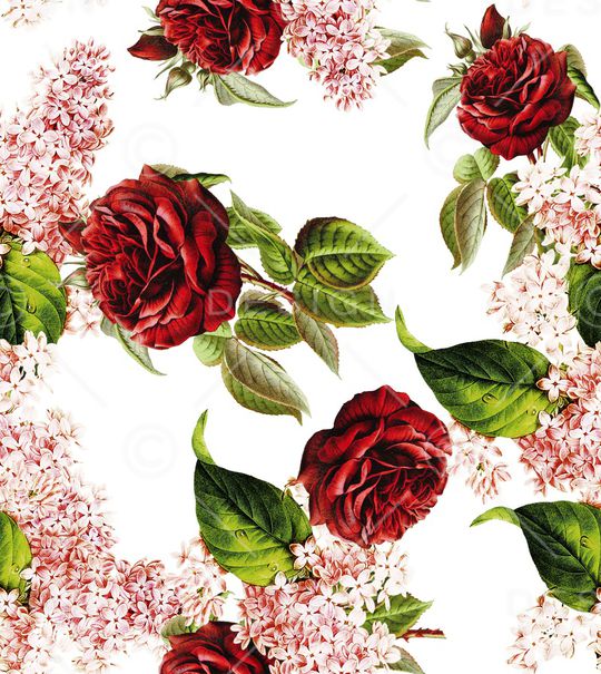 玫瑰花印花华亿平台图片