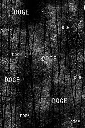 纹理印花华亿平台图片