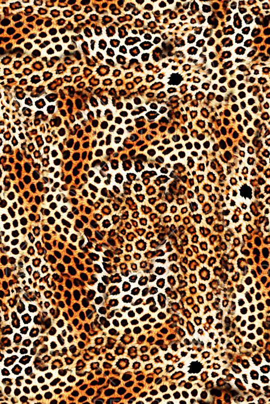 豹纹印花华亿平台图片