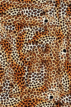 豹纹印花华亿平台图片