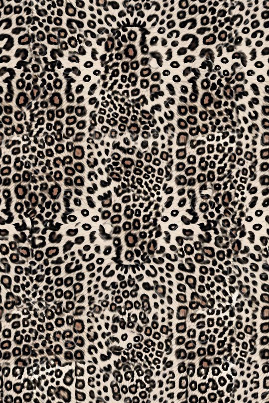 豹纹印花华亿平台图片