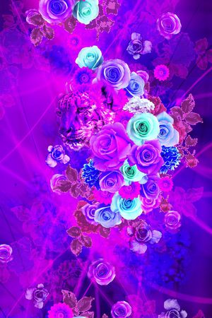 时尚定位印花华亿平台图片