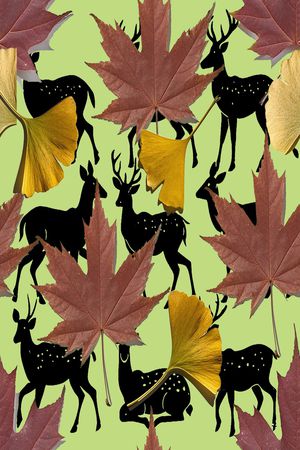 枫叶印花华亿平台图片