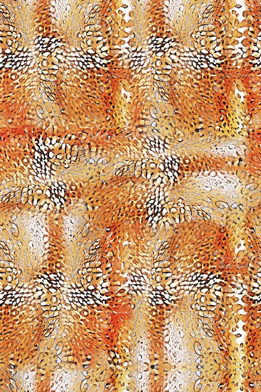 豹纹印花华亿平台图片