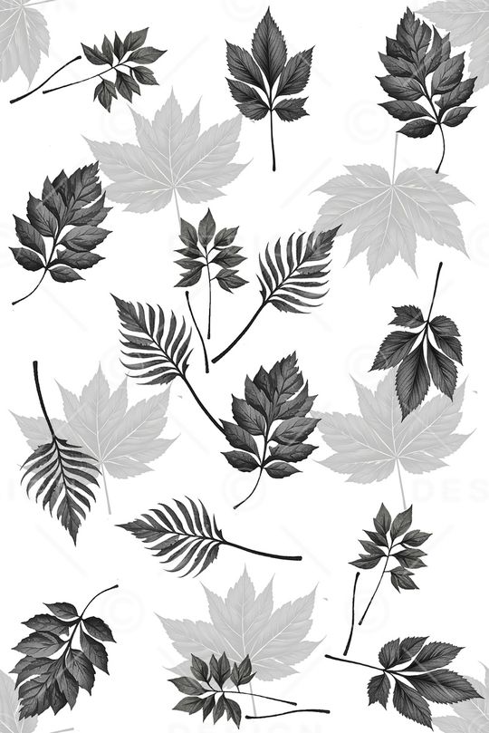 黑白华亿平台印花华亿平台图片