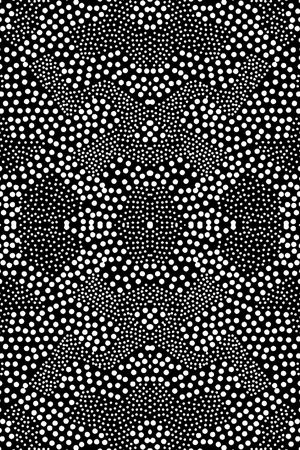 黑白华亿平台印花华亿平台图片