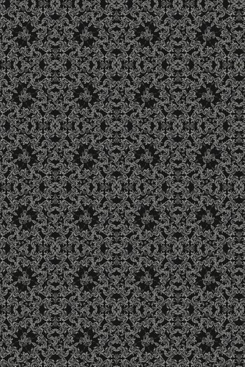 1598615-奢华黑白