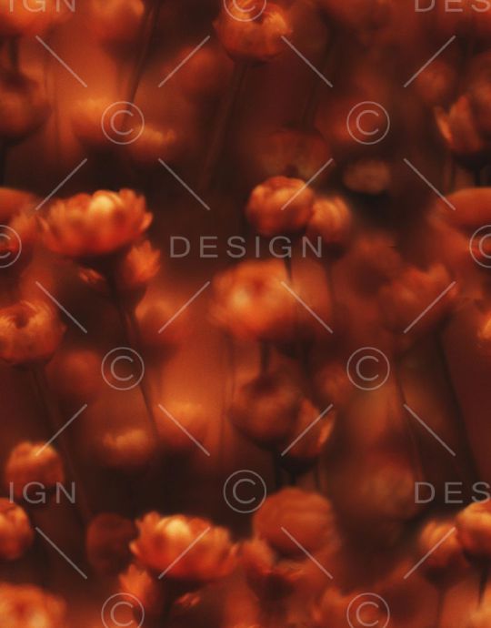 朦胧印花华亿平台图片